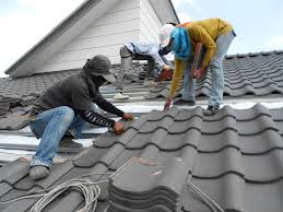 Best Roof Ventilation Installation  in Argentine, MI